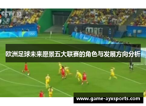 欧洲足球未来愿景五大联赛的角色与发展方向分析