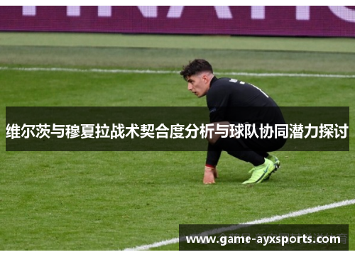 维尔茨与穆夏拉战术契合度分析与球队协同潜力探讨