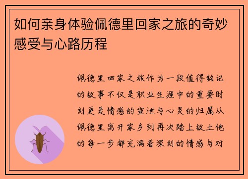 如何亲身体验佩德里回家之旅的奇妙感受与心路历程