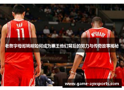老詹字母哥姚明如何成为票王他们背后的努力与传奇故事揭秘