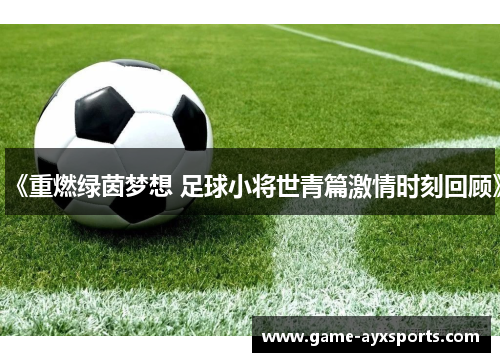 《重燃绿茵梦想 足球小将世青篇激情时刻回顾》