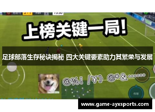 足球部落生存秘诀揭秘 四大关键要素助力其繁荣与发展