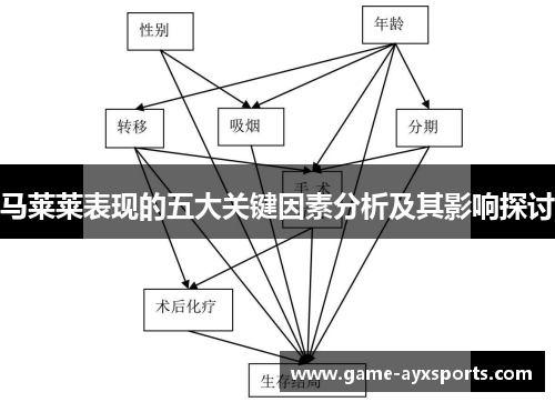 马莱莱表现的五大关键因素分析及其影响探讨
